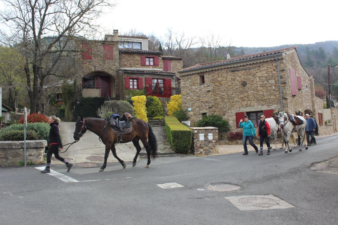 Le Pailler De La Planque Appartement Camplong Buitenkant foto